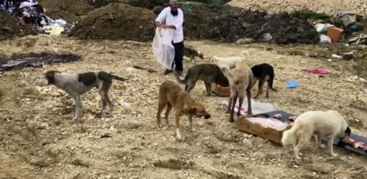 Ünye’ye Gölpazarından Selam Getirdik