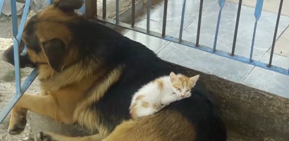 Gölpazarı’nda Bir Gün